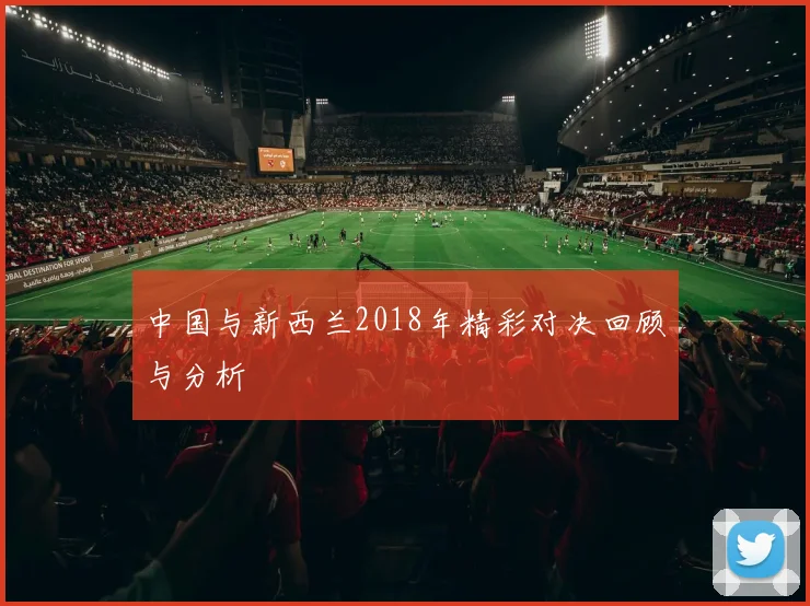 中国与新西兰2018年精彩对决回顾与分析