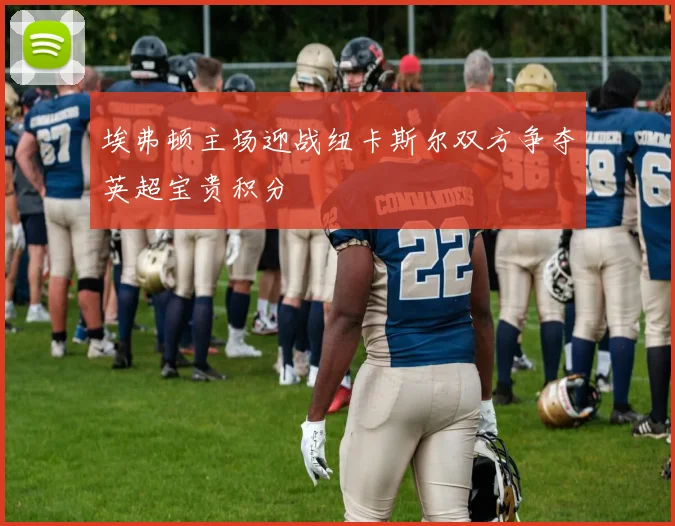 埃弗顿主场迎战纽卡斯尔双方争夺英超宝贵积分