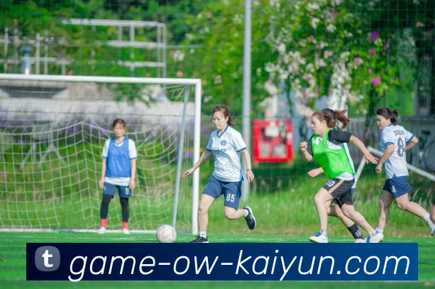 开云体育服务体系